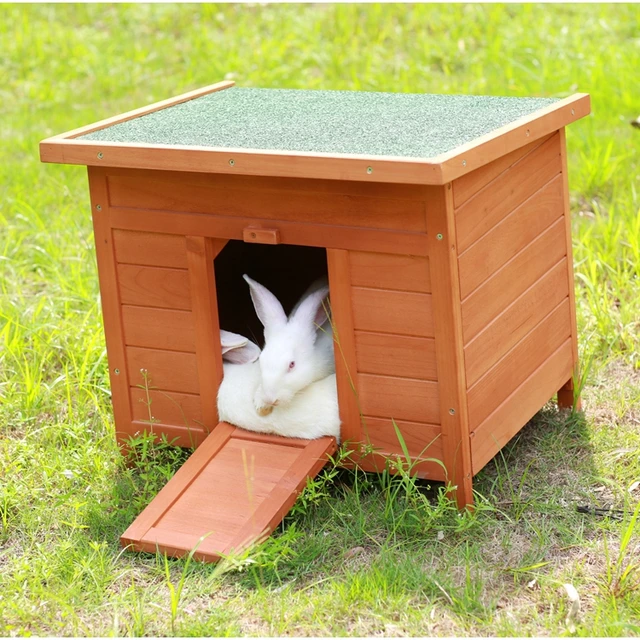 apex rabbit hutch