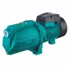 LEO AJm-(H) Series Self-priming Cast Iron Jet Water Pump 0.3kw 0.45kw 0.6kw 0.75kw 0.9kw