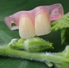 Removable denture elastic material denture resin