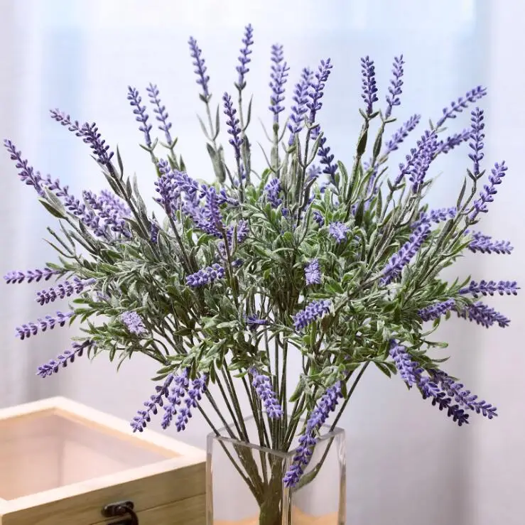 Where Can I Buy Lavender Flowers The Design Interior