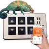 all in one design intelligent reptile feeding system good for tortoise/reptile terrarium personal use