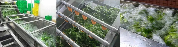 fruit vegetable processing machine