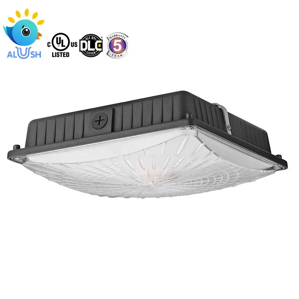 Westinghouse Lighting 70049 Canopy
