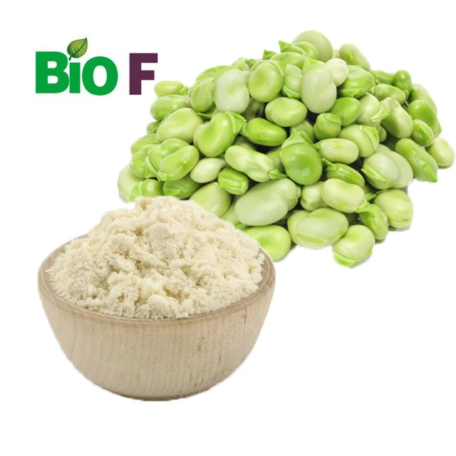 Organic Low Carb Water Soluble Fava Bean Flour Protein