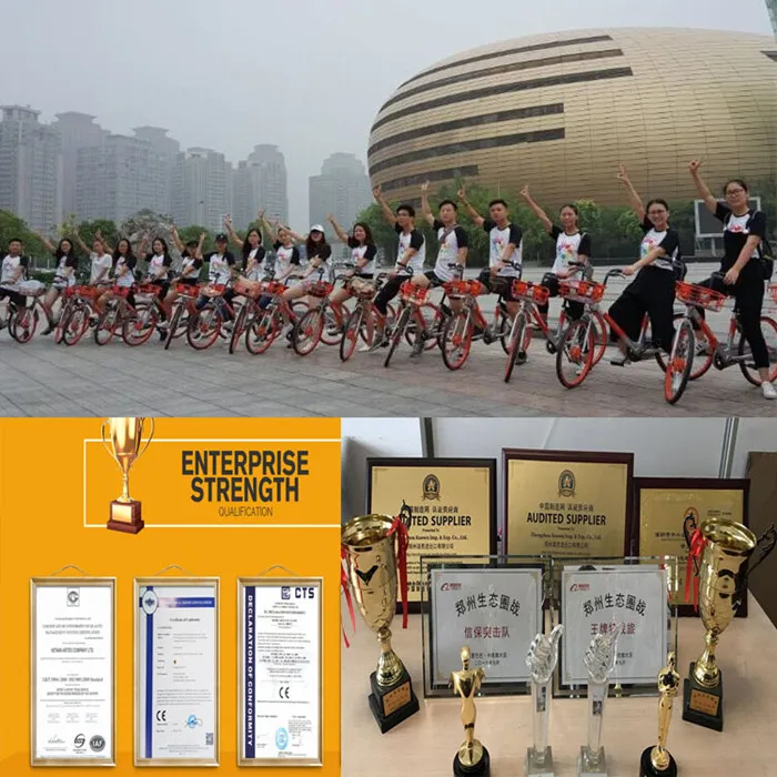 OEM Luxury Horse Carriage Carts Royal Electric Vehicle New Style