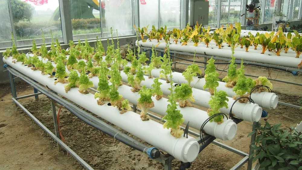 Horizontal Hydroponics For Veghetables High Quality And Low Cost For
