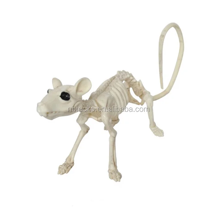 Halloween Party Decoration Mouse Skeleton Rat Bionic Bone Set - Buy  Halloween Party Mouse Skeleton Decoartion,Halloween Party Rat Bionic Bone  Set,Mouse Bone Skeleton Product on 