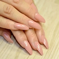 

24pcs/kit Nude Pink Fake Nails Shiny Surface Pointed Acrylic Nail Tips Easily Decorate Your Fingers DIY Material 155P