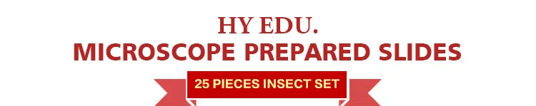 001 Entomology series microscope slides.jpg