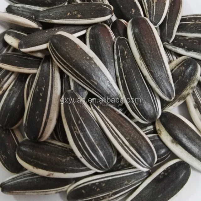 
Sunflower seeds from China 