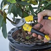 Carbon Steel Pruning Shears 8"/200MM Garden Tools Pruners Gardening Secateurs Grafting Tool