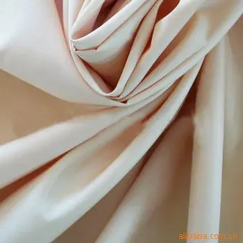 Taffeta Fabric Nylon Polyester Taffeta 19