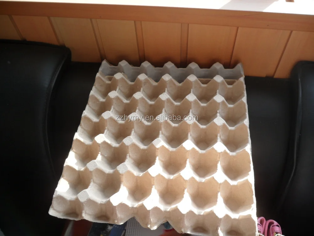 Best Sales Paper Egg Tray Manufacturer Buy Paper Egg Tray