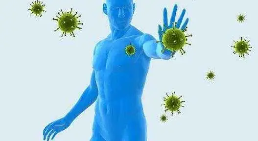 Artchoke Extract.jpg