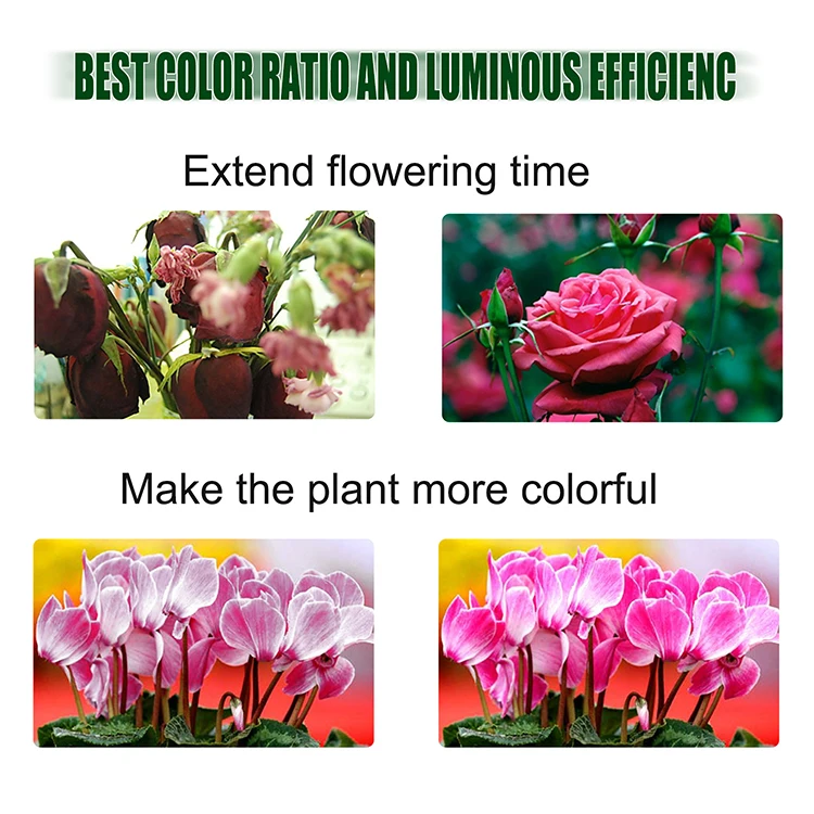 Amazon top sale Cre e CXB3590  cob led  grow light for agricultural greenhouse