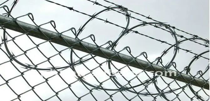 chain link fencings.jpg