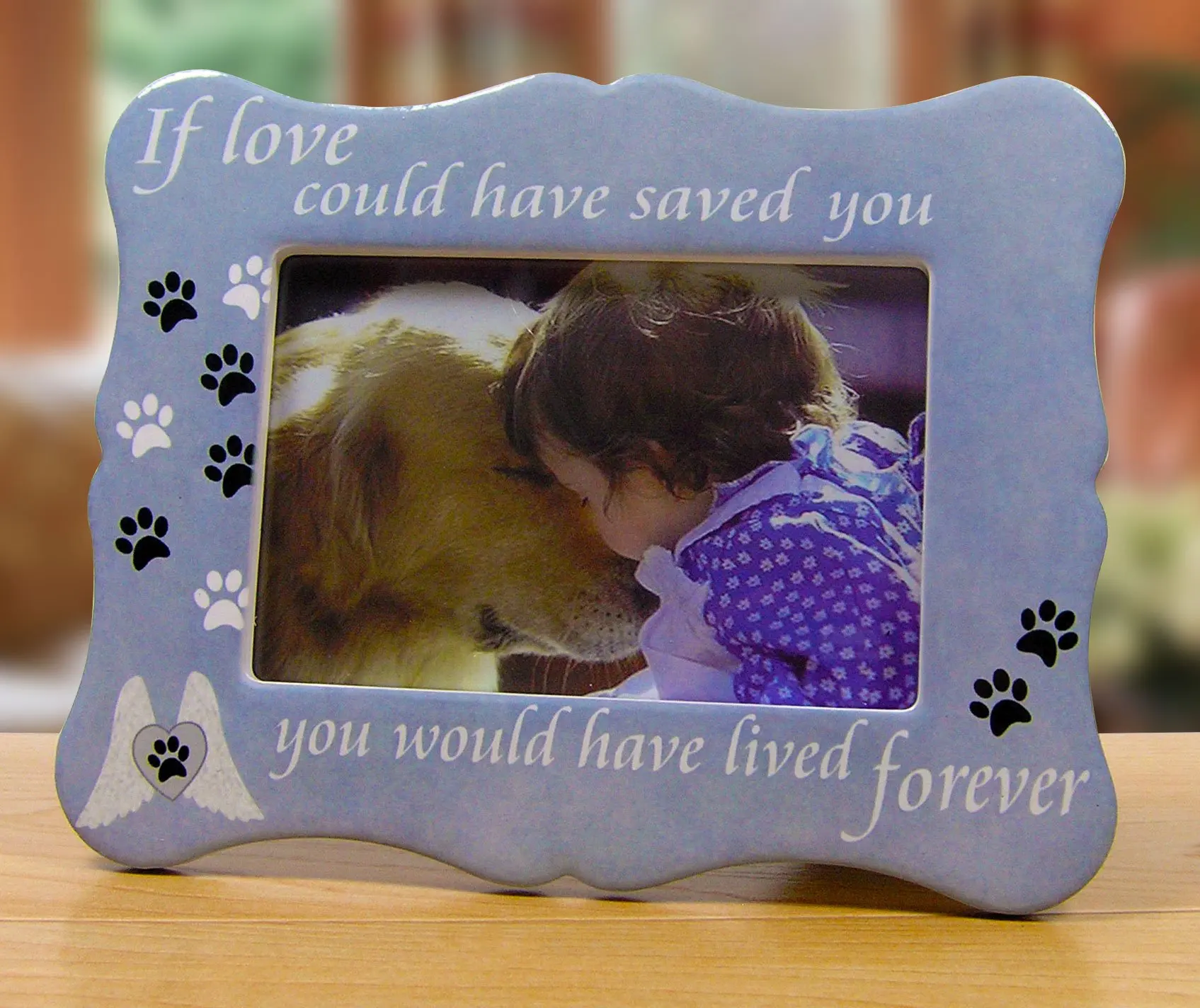 Banberry Designs Pet Memorial Picture Frame - If Love Could Have Saved You Pet Frame - Paw Prints and Angel Wings