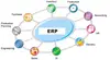 Online ERP Software Development in Nashik