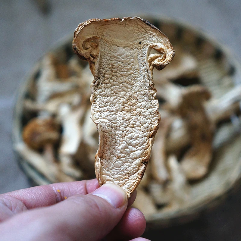 Detan Dried Pine Mushroom Prices Buy Pine Mushroom,Pine Mushroom,Pine