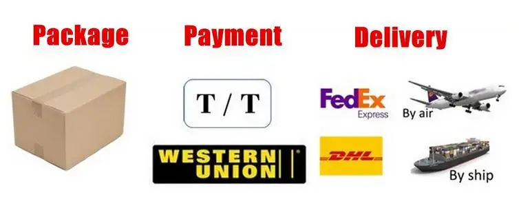 Packing N Shipment.jpg