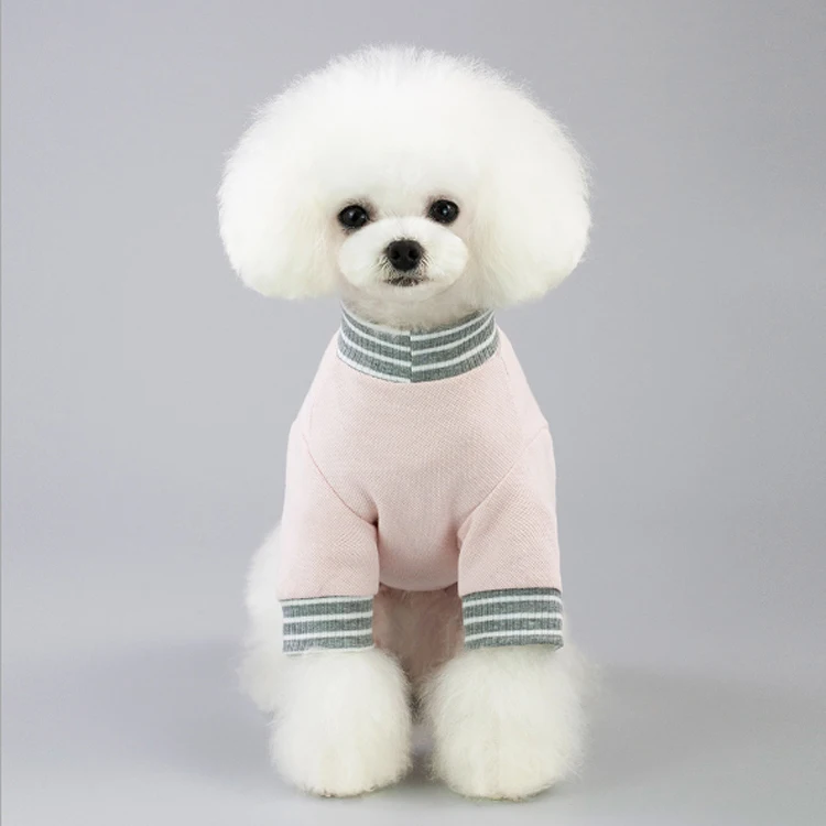 designer dog clothes.jpg