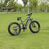 48v 10.4ah/13ah/17ah Lithium Battery 1000w ebike with Steel 44T*170mm chain wheel