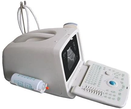 MCB-SS-6 2.jpg