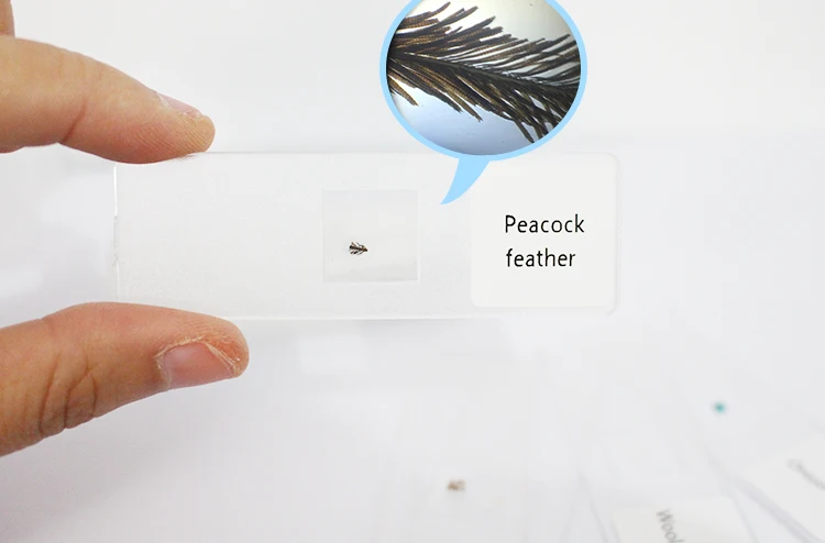 10plastic slides.jpg