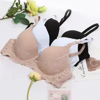 

China manufacturing cheap delicate mixed color mixed sized women push up bra active cute lace bra