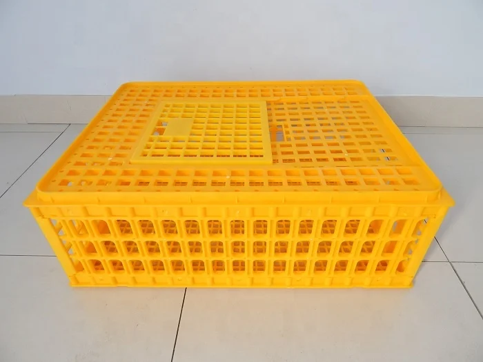 
high quality large size poultry transport crate 