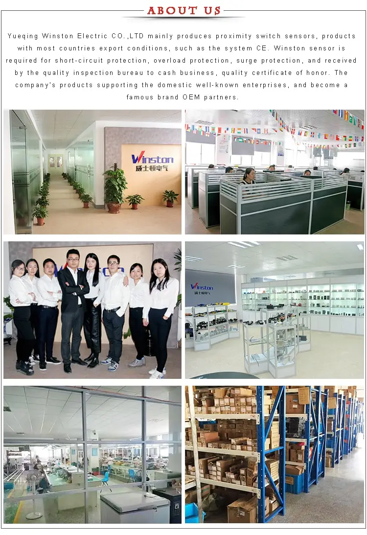 Inductive Proximity Sensor PNP 2mm Distance With Connector (LM8-T3)