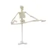 PNT-0107J 45cm height skeleton model for school study human anatomy model