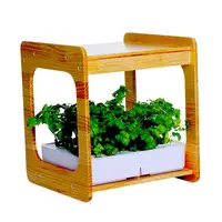 

Smart Garden 12 Indoor Herb Gardening Kit (Includes Plant Capsules) with led grow light hydroponic