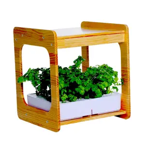 Image of Smart Garden 12 Indoor Herb Gardening Kit (Includes Plant Capsules) with led grow light hydroponic