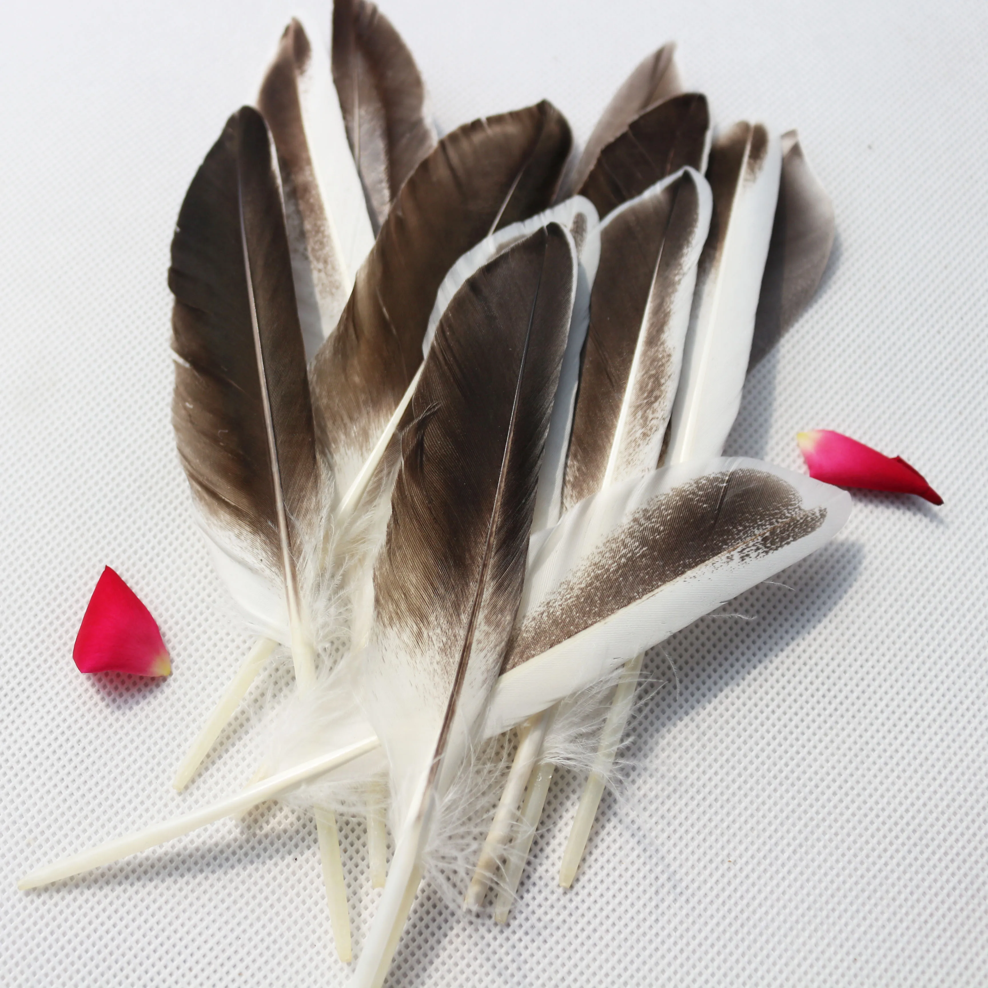 1621cm Diy Factory Price Grey Duck Feather For Sale Buy Down Feather