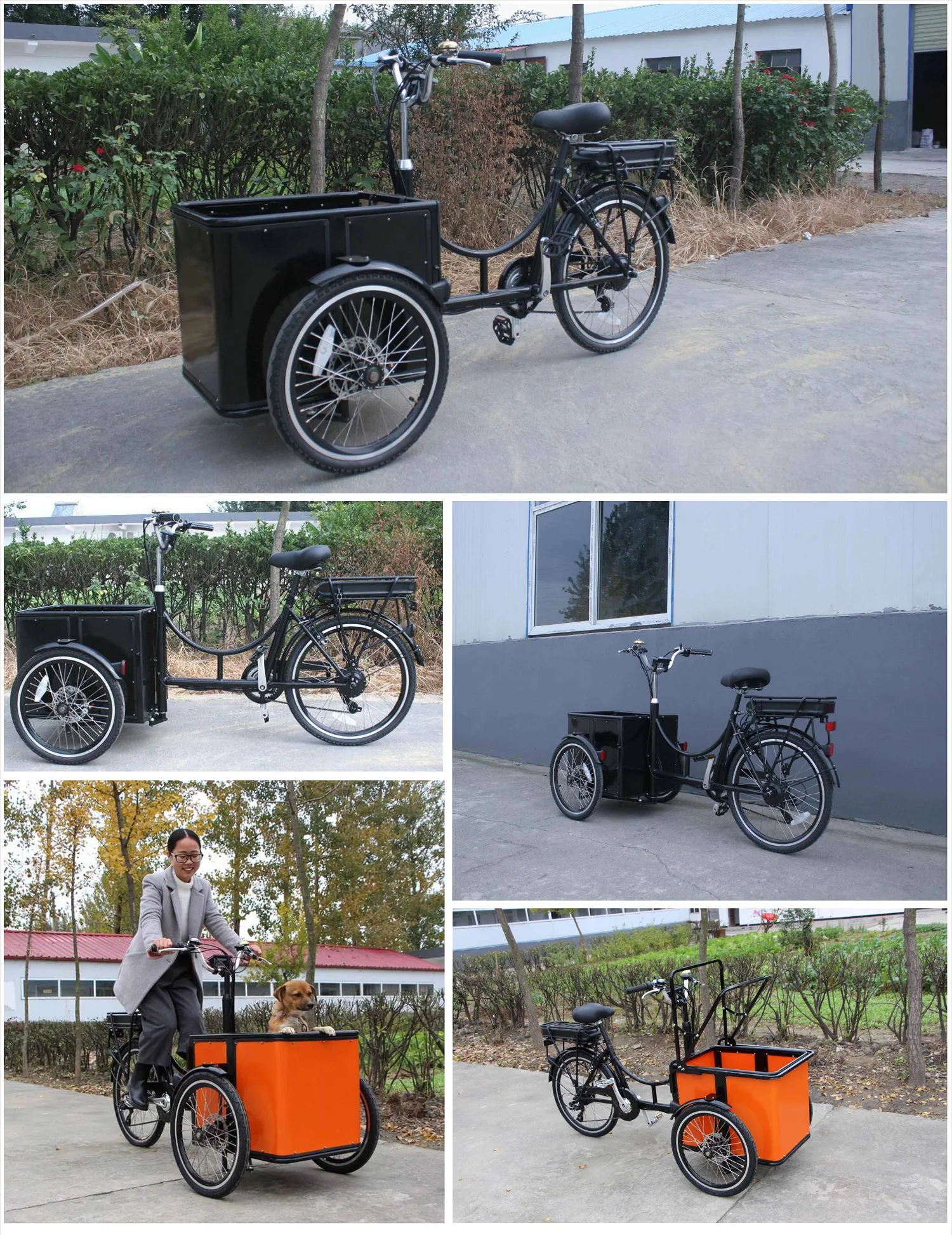 Pedal Electric Cargo Bike /cargo Tricycle - Buy Pedal Electric Cargo Bike /cargo Tricycle,Cargo 