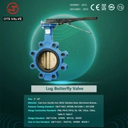 Lug butterfly valve 2