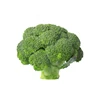Healthy high quality organic bulk broccoli fresh from USA