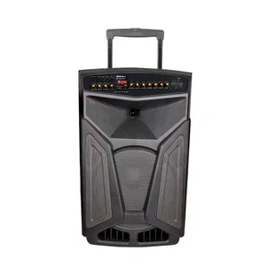 Portable 18 Inch Subwoofer Speaker Dancing