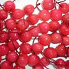 top quality Canned red cherry with best price