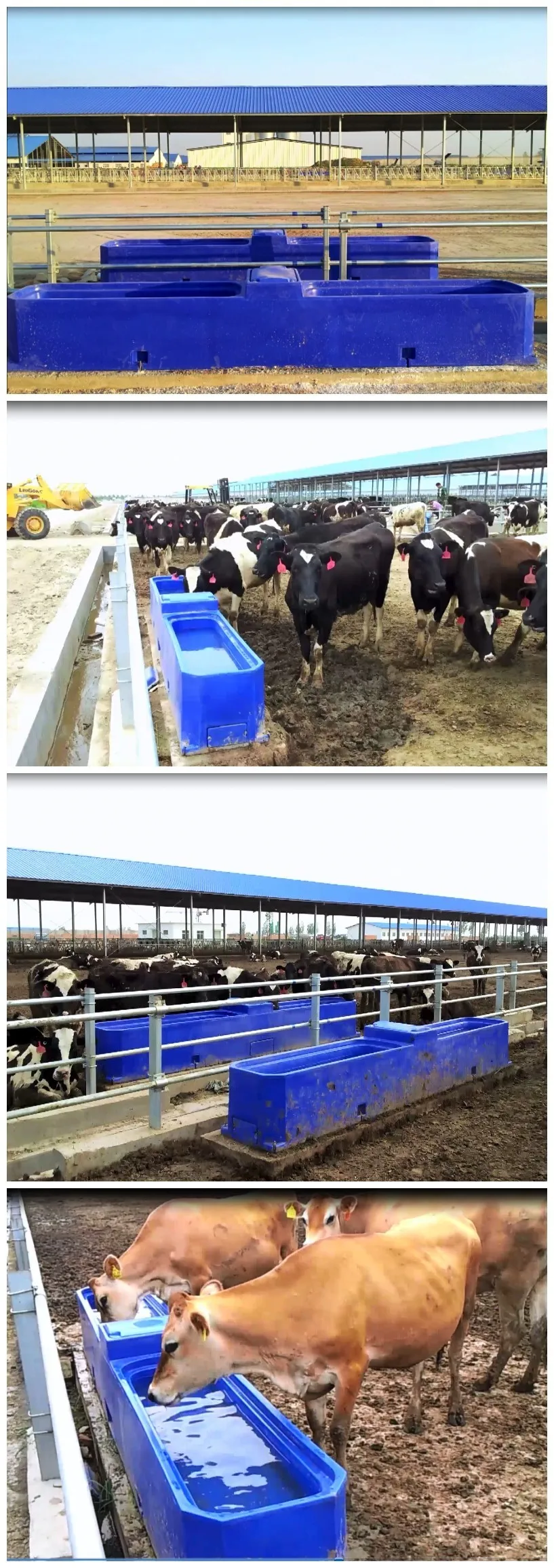 Plastic Cow Drinking Trough Livestock Cattle Farm Drinking Water System