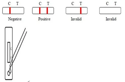Rapid hiv testing device for medical diagnostic testing