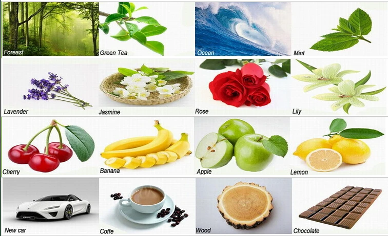 OEM Factory Price Wholesale High Quality Eco-friendly paper tree shape car air freshener