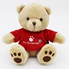 Birthday Gift Bears Special Teddy Bear with Brown Paw Pads Under the T-shirt