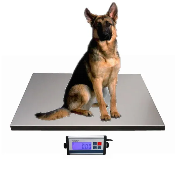 Professional Electronic Digital Livestock Scale,Animal Weighing Scales
