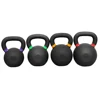 Custom Powder Coated Cast Iron Kettlebell with color strip
