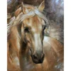Full Diamonds Horse DIY diamond painting Rhinestone Art Painting 5d paste beads cross stitches