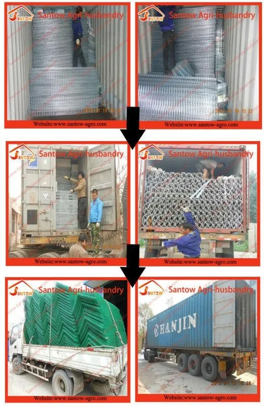 4 tier 120 birds hot galvanized chicken layer cage A type poultry cage low carbon steel wire battery cage laying hen design