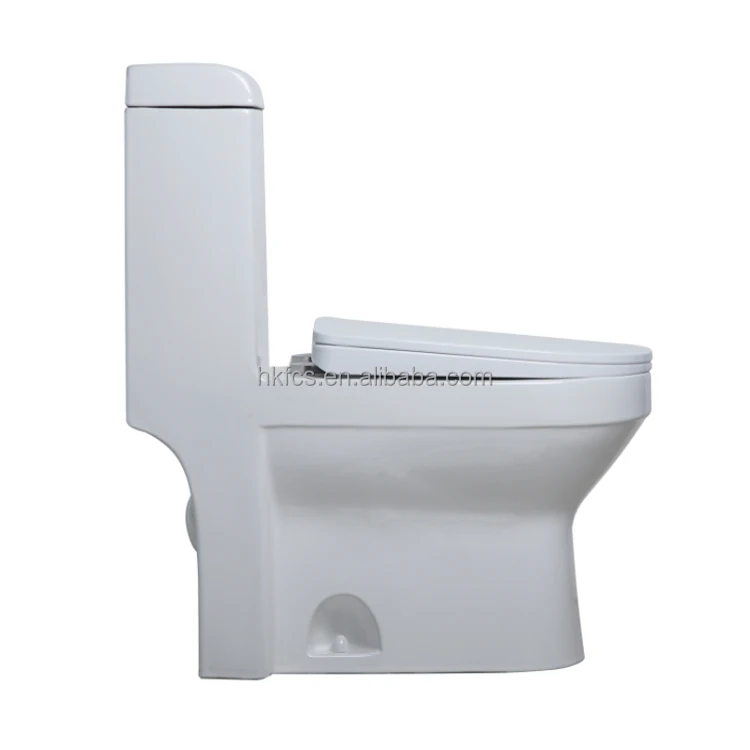 
CSA Certificated Elongated Dual Flush One-piece Toilet 3097N 