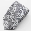 Casual Gray 100% Polyester Woven Paisley Ties